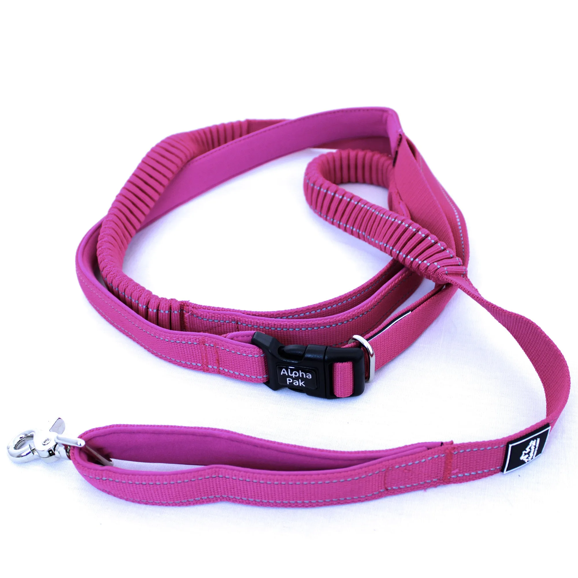 Cascades Plum Boysenberry Stretchable Runner Dog Leash - WHOLESALE