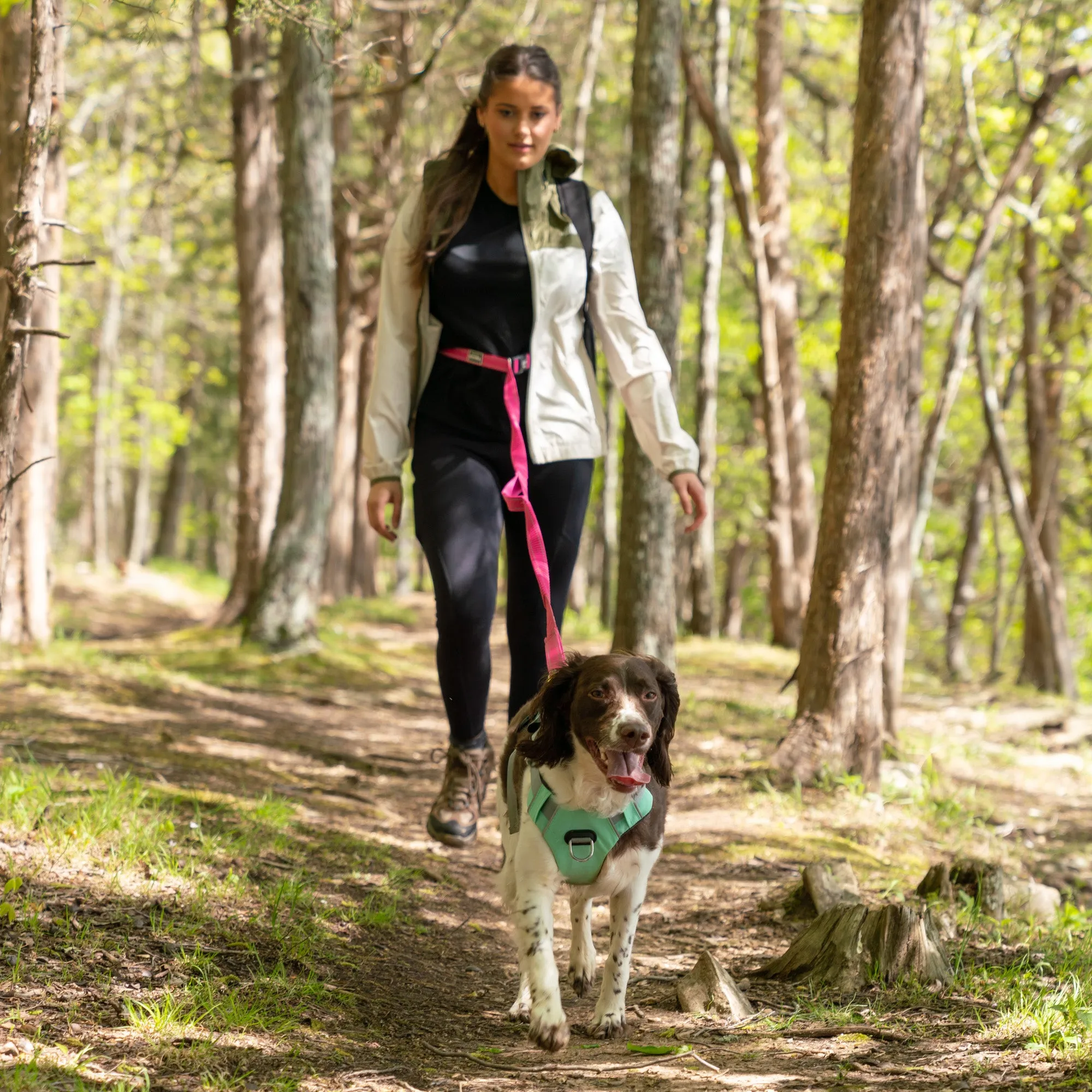 Cascades Plum Boysenberry Stretchable Runner Dog Leash - WHOLESALE