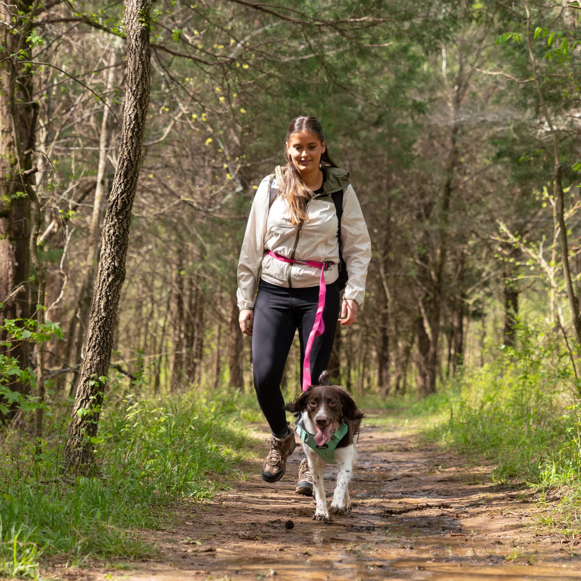 Cascades Plum Boysenberry Stretchable Runner Dog Leash - WHOLESALE