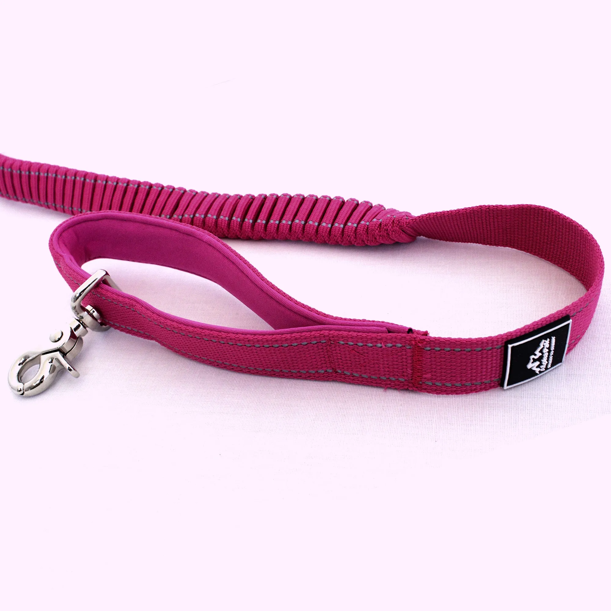 Cascades Plum Boysenberry Stretchable Runner Dog Leash - WHOLESALE