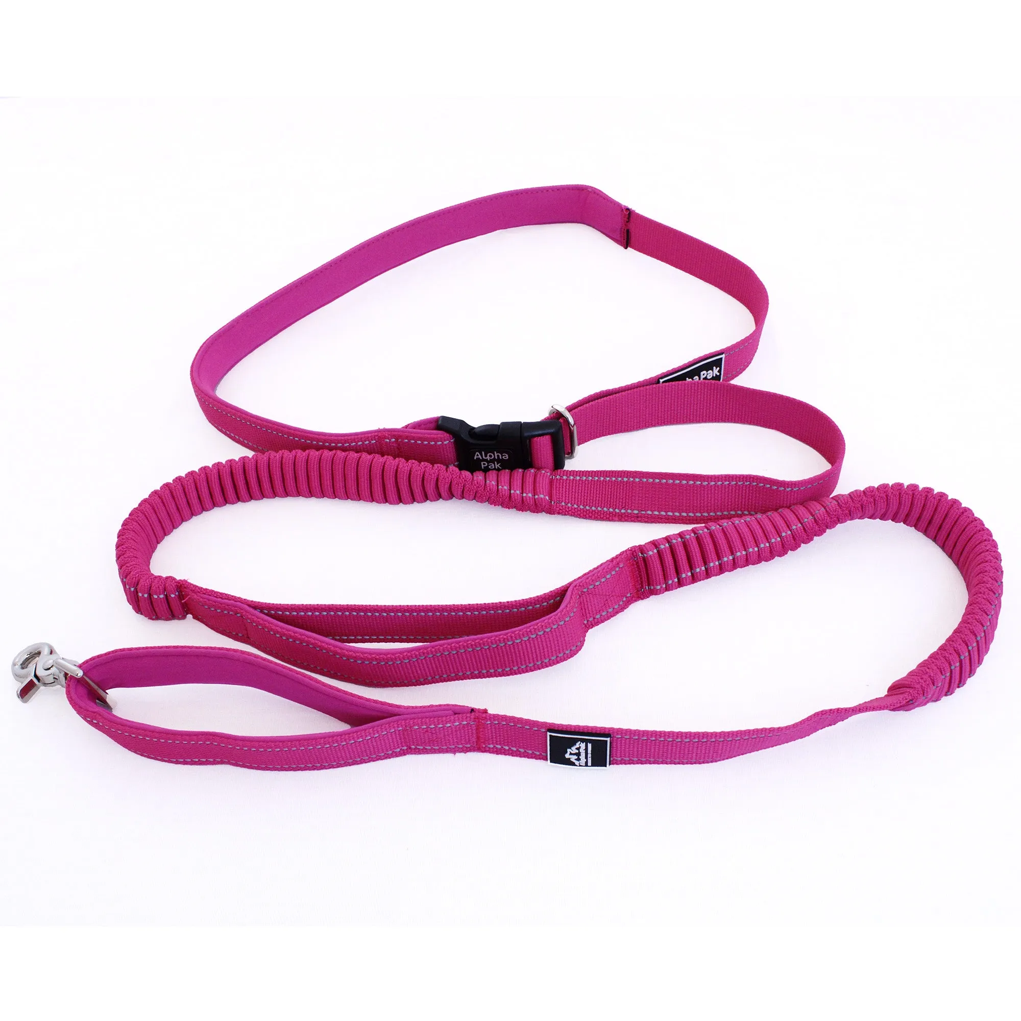 Cascades Plum Boysenberry Stretchable Runner Dog Leash - WHOLESALE